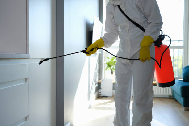 Why You Should Choose Our Mold Remediation Services in Tuntutuliak, AK